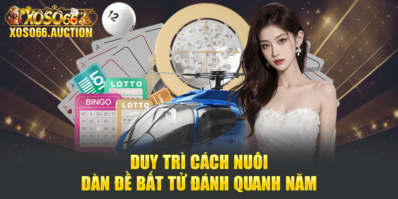 Duy trì cách nuôi dàn đề bất tử đánh quanh năm