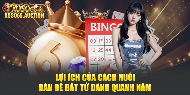 Lợi ích của cách nuôi dàn đề bất tử đánh quanh năm