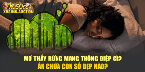 Mơ Thấy Rừng Mang Thông Điệp Gì? Ấn Chứa Con Số Đẹp Nào?