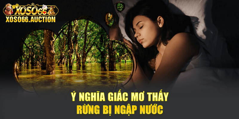 Ý nghĩa giấc mơ thấy rừng bị ngập nước